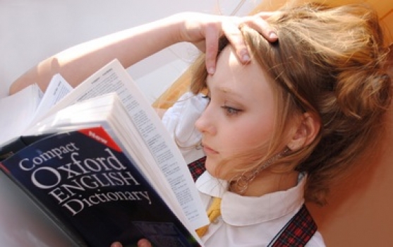 Sector specialism versus language skills – which is key to accurate translation? Sector specialism versus language skills – which is key to accurate translation?